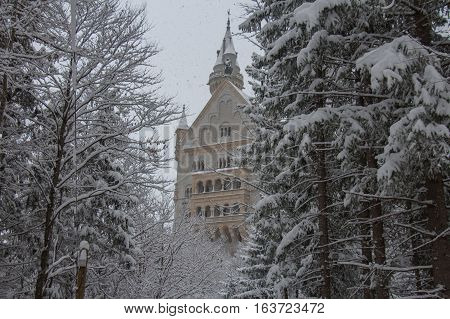 Fussen Germany - December 26 2014: view of Neuschwanstein Castle in winter time between trees on December 26 2014 near Fussen Germany.