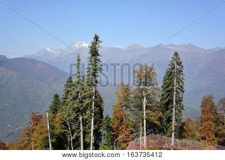 View of the ridge Psekhako Sochi Russia