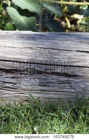 Thick log used as a property marker