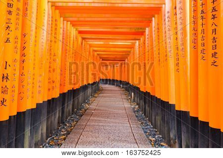 Torii gates in Fushimi Inari Shrine, Kyoto, Japan, Selective foc