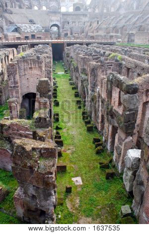 El Coliseo subterráneo