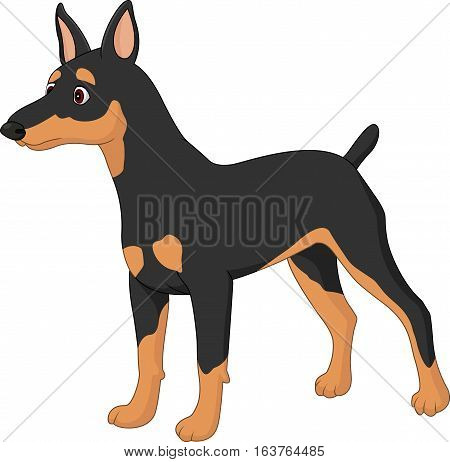 Vector illustration of Cartoon dog Miniature Pincher