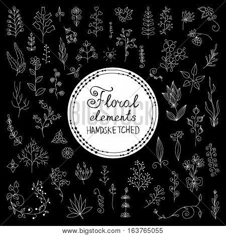 Hand Drawn vintage floral elements. Set of flowers. Decorative elements