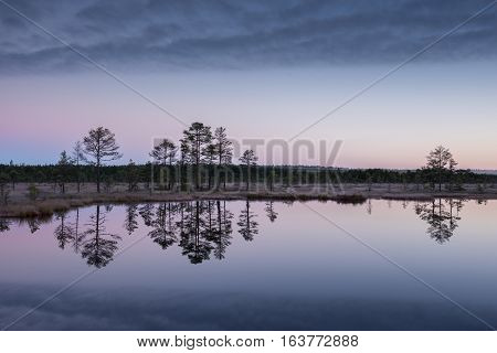 Sunrise in the bog. Icy cold marsh. Frosty ground. Swamp lake and nature. Freeze temperatures in moor. Muskeg natural environment. Beautiful trees sky and cloud reflection in water in the fen.
