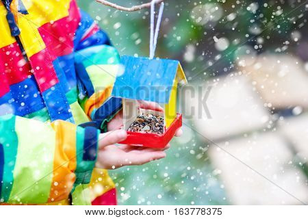 Little kid feeding birds in winter. Child hanging colorful selfmade bird house on tree on frosty cold day. Toddler in colorful wam clothes. Selective focus on hands and feeder with seeds