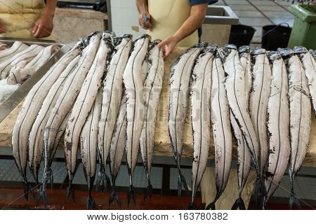Fish on market black scabbard (espada) in fish market