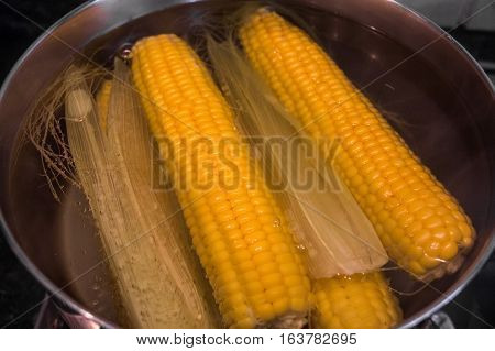 Close-up of tasty boiled corn in hot water