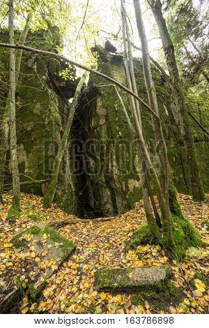 Wolf's Lair Adolf Hitler's Bunker in Poland. First Eastern Front military headquarters in World War II. Complex was blown up and abandoned on 1945. Autumn chaparral grown ruins trees leaves.