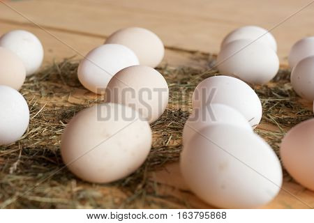 High quality tasty and healthy chicken eggs from domestic hens on wooden mat