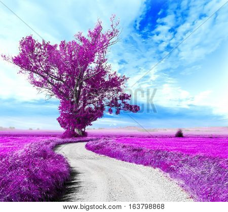 Surreal tree and dreamscape.Road through the fields