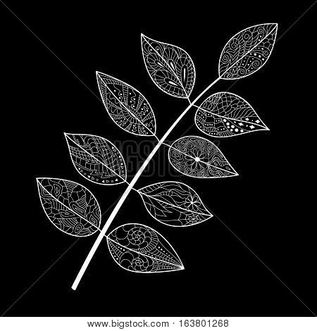 Leaves doodle. Vector illustration. Hand drawn artwork. Black white. Coloring book page for adults.