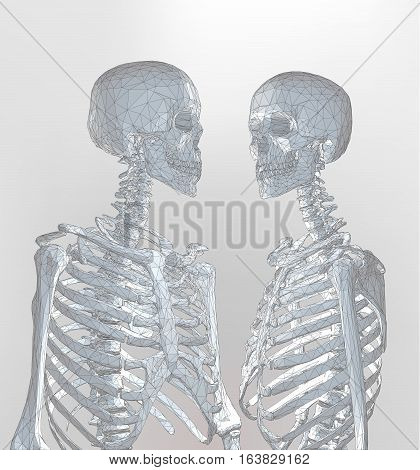 A couple of polygonal skeleton in soft light monochrome color with wireframe edge on white background