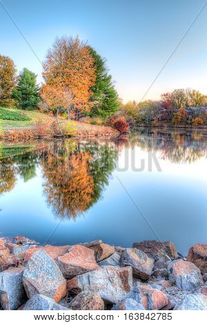 Sunrise on Braddock lake in Burke Virginia USA with vertical reflection in autumn and orange tree