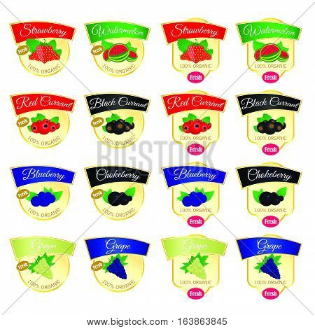 Label Of Set Fesh Organic Food Illustration In Colorful
