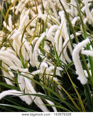 Artificial Feather Pennisetum or Mission Grass for Home and Office Decoration without The Care.