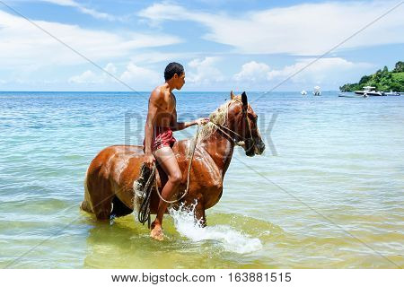 Taveuni, Fiji - November 23: Unidentified Man Rides Horse On The Beach On November 23, 2013 On Teveu