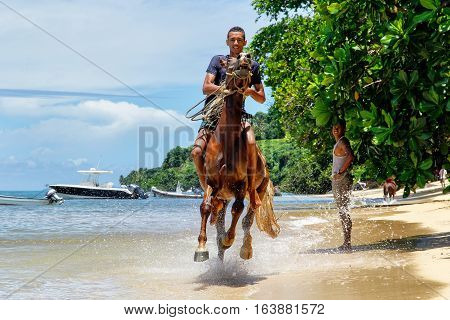 Taveuni, Fiji - November 23: Unidentified Man Rides Horse On The Beach On November 23, 2013 On Teveu