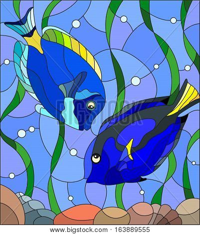 Illustration in stained glass style with a pair of fish surgeon on the background of water and algae