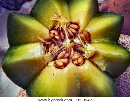 Melon1