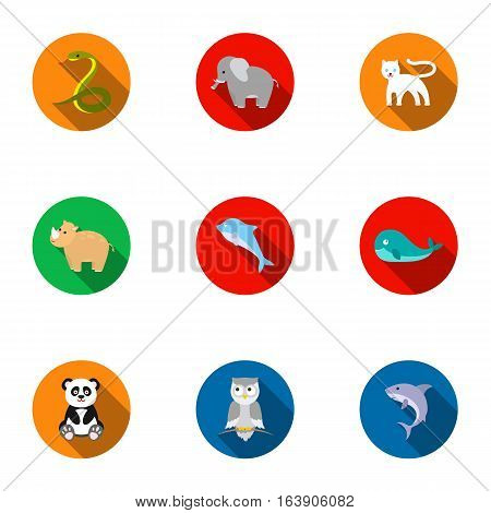 Animals set icons in flat style. Big collection of animals vector symbol stock