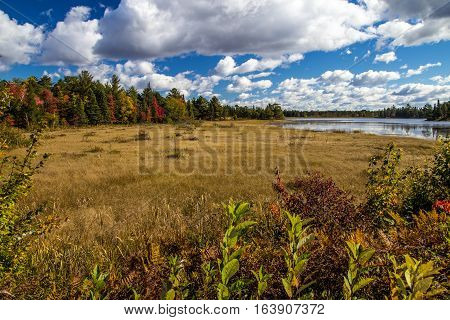 Save The Wetlands. Seney National Wildlife Refuge wetlands under blue sky and surrounded with autumn color. Seney, Michigan.