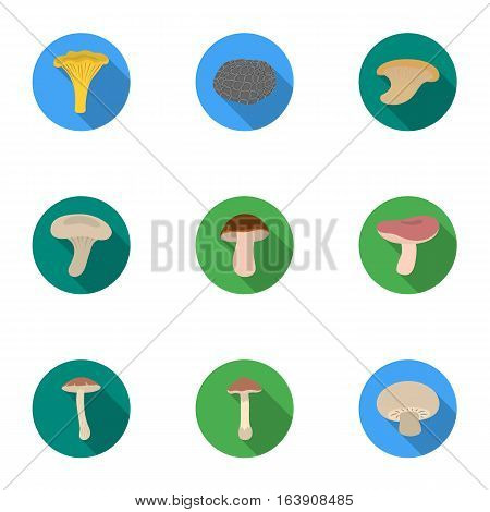 Mushroom set icons in flat style. Big collection of mushroom vector symbol stock