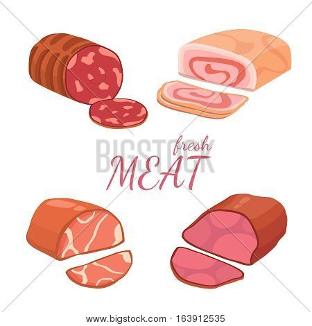 illustration of a set of different kinds of meat. Vector isolated set