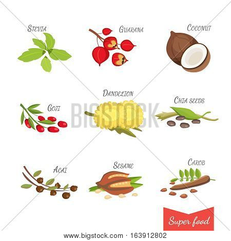 Set of Vector cartoon superfoods. Fresh fruits sketch background. Illustration for your design.