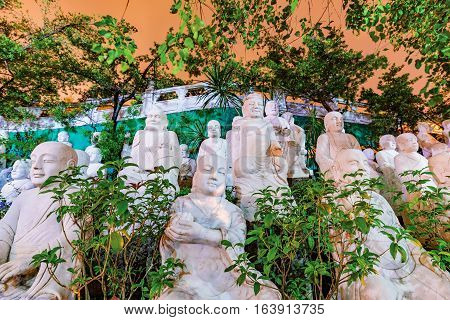 Buddha statues with trees and nature at night