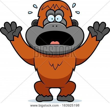 Cartoon Orangutan Panicking