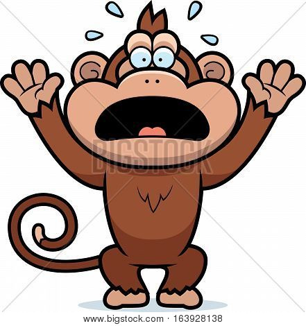 Cartoon Monkey Panicking