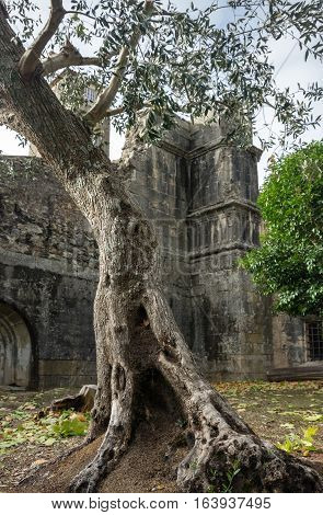 The Convent of Christ is a former Roman Catholic monastery in Tomar Portugal. The convent was founded by the Order of Poor Knights of the Temple (or Templar Knights) in 1118