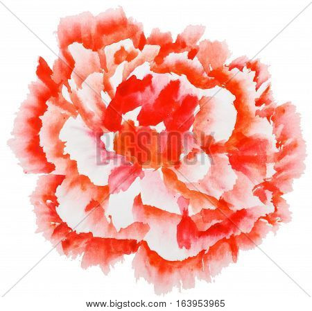 Red peony flower. Watercolor painting. Styling Chinese painting.