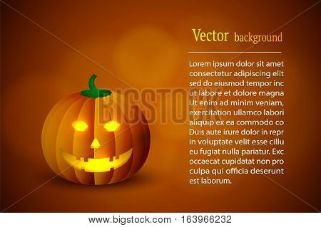 Pumpkin On A Bright Background.
