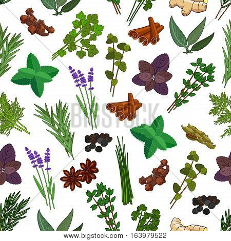 Herbs and spices seamless pattern. Vector patterns of mint, cinnamon, thyme, ginger, ginger and cloves, marjoram and tarragon, lemongrass and sage, basil and lemon balm, oregano, parsley and dill, cilantro, coriander