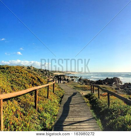 Landscape in San Paio, Vila do Conde, Portugal