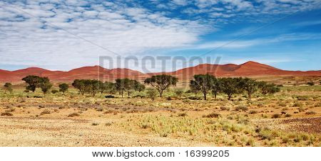 Dune del deserto del Namib, Namibia, Sossufley
