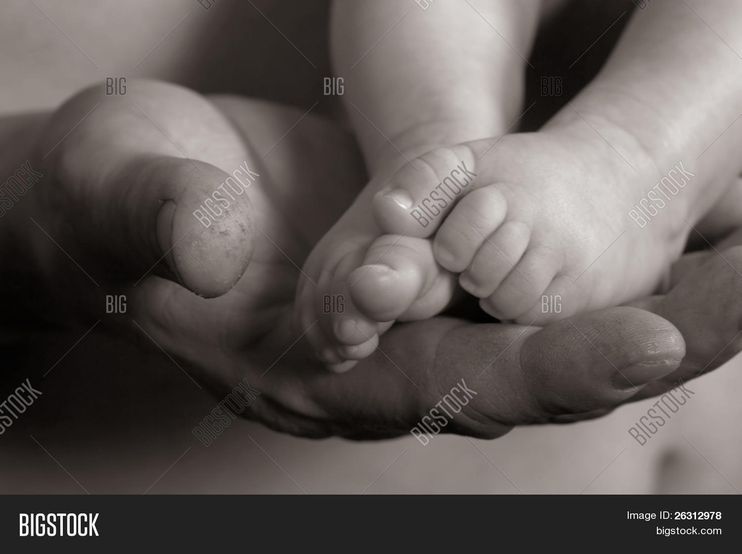 Imagen Y Foto Mano De Papa Pies Prueba Gratis Bigstock