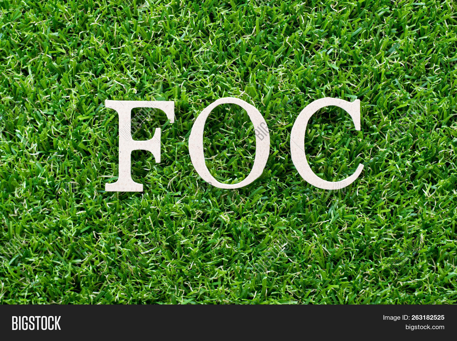 Wood Letter Word Foc ( Image & Photo (Free Trial) Bigstock