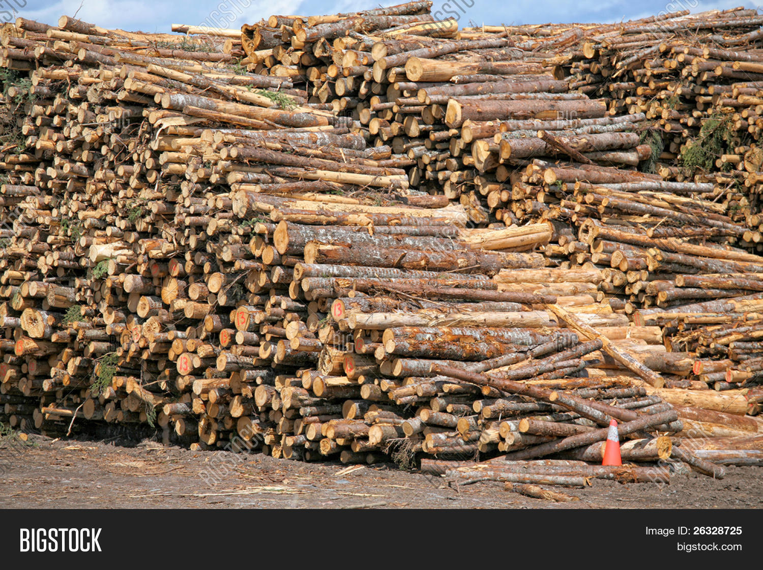 Piles Spruce Logs Image & Photo (Free Trial) | Bigstock