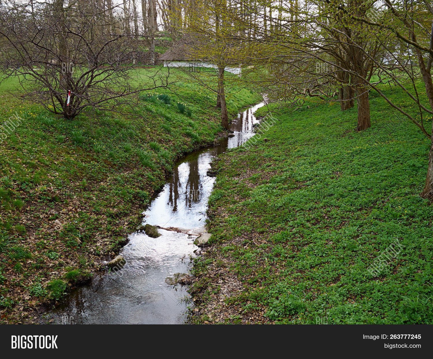 Small Brooks Deals head.hesge.ch