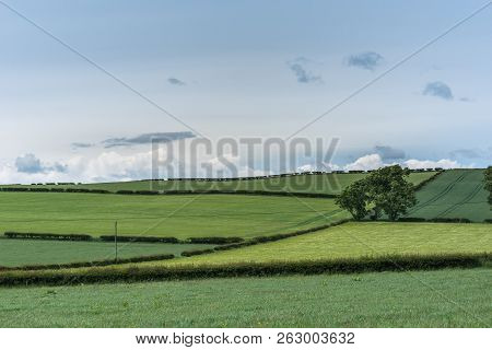 Shearington, Scotland, Uk - June 18, 2012: Agricultural Land As Seen From Ruined Triangular Brown St