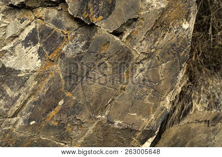Coa Valley, Portugal - June 22, 2018:  The Prehistoric Rock Art Site Of The Coa Valley Is An Open Ai