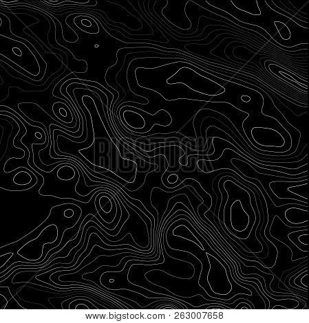 Topographic Map Background. Geographic Grid Abstract Vector Illustration