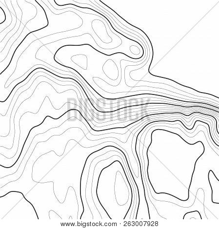 Topographic Map Background With Space For Copy. Vector Illustration