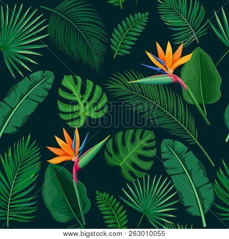 Tropical Leaves And Flowers Seamless Pattern. Jungle Exotic Strelitzia, Banana Leaf, Philodendron, A