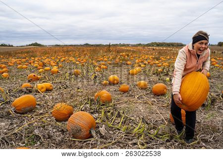 Adult Woman (30s) Attempts And Struggles To Lift And To Pick Up A Giant Pumpkin From A Pumpkin Patch