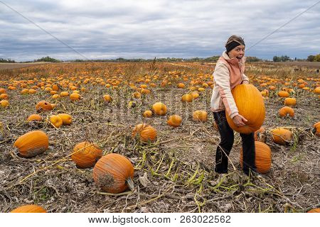 Adult Woman (30s) Attempts And Struggles To Lift And To Pick Up A Giant Pumpkin From A Pumpkin Patch