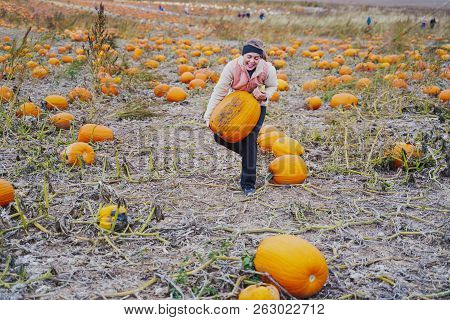 Adult Woman Attempts To Pick Up A Giant Pumpkin From A Pumpkin Patch. Smiling And Laughing And Havin