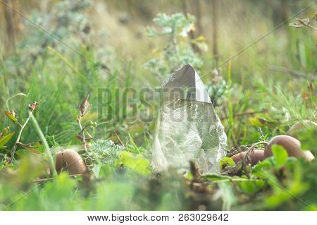 Large Clear Pure Transparent Great Royal Crystal Of Quartz Chalcedony Diamond Brilliant On Nature Bl